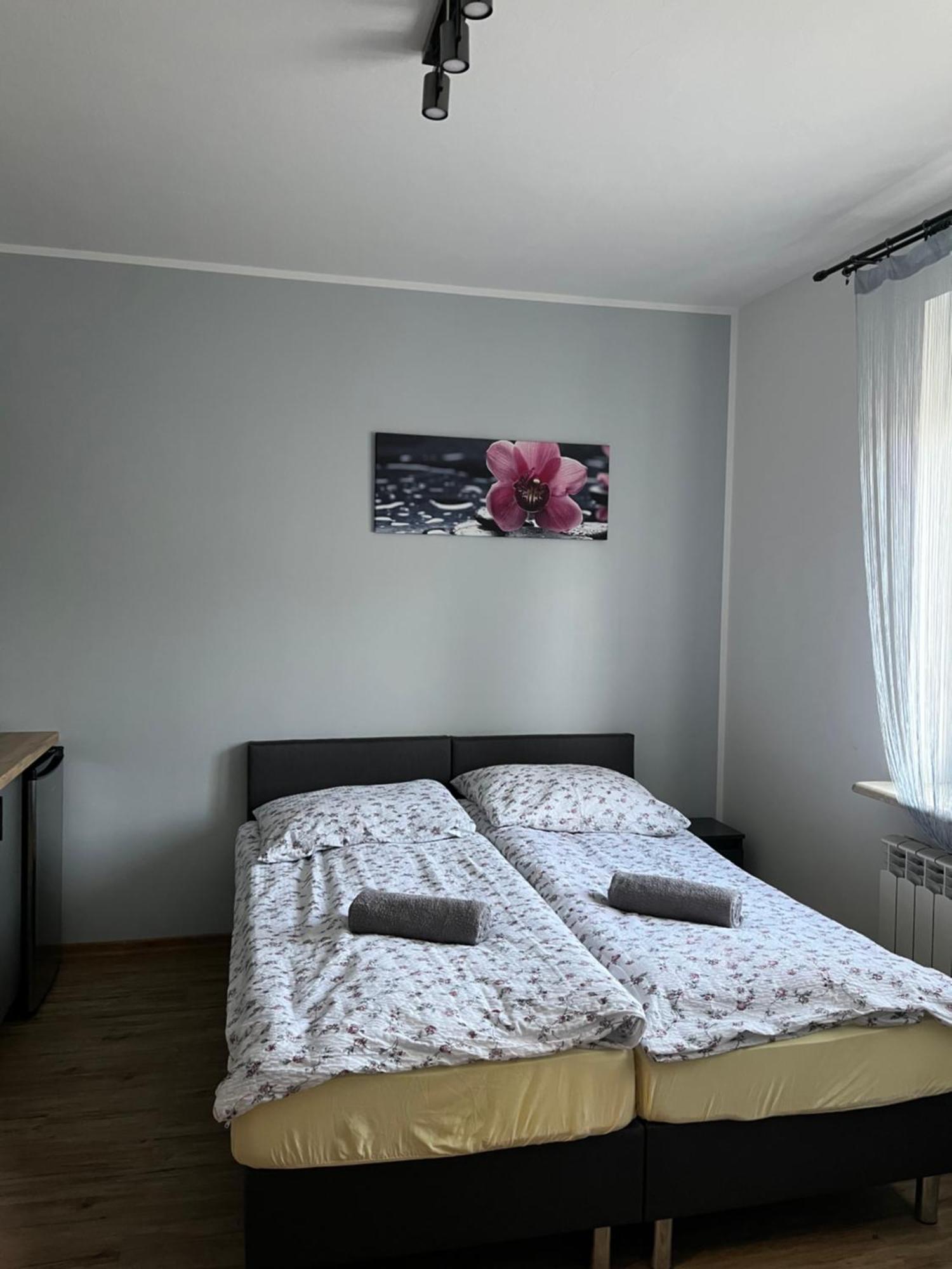 Dom Wypoczynkowy Nad Wisla Puławy エクステリア 写真